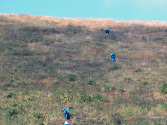 IMG_20130919_120825.JPG